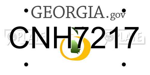 CNH7217 Georgia License Plate