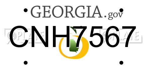 CNH7567 Georgia License Plate