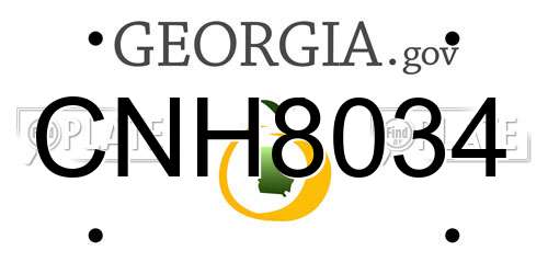 CNH8034 Georgia License Plate