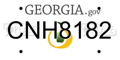 CNH8182 Georgia License Plate