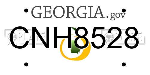 CNH8528 Georgia License Plate
