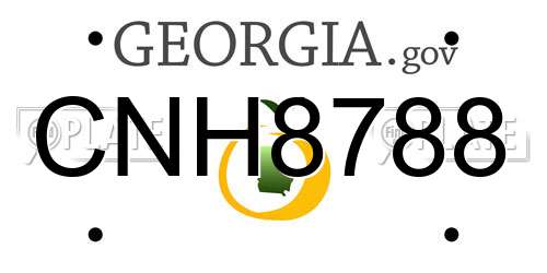 CNH8788 Georgia License Plate