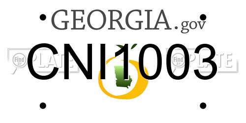 CNI1003 Georgia License Plate