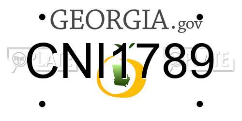 CNI1789 Georgia License Plate
