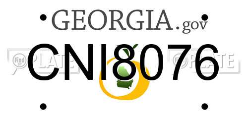 CNI8076 Georgia License Plate