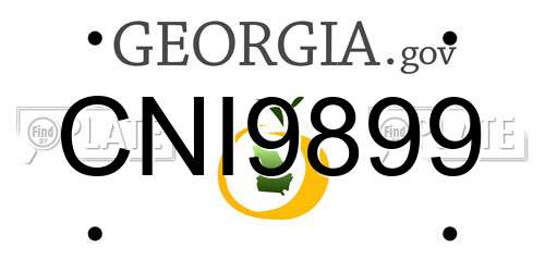 CNI9899 Georgia License Plate