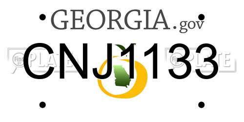 CNJ1133 Georgia License Plate