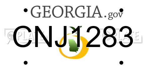 CNJ1283 Georgia License Plate