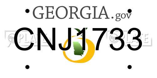 CNJ1733 Georgia License Plate