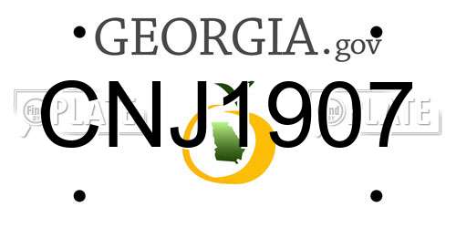 CNJ1907 Georgia License Plate