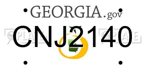 CNJ2140 Georgia License Plate