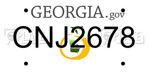 CNJ2678 Georgia License Plate