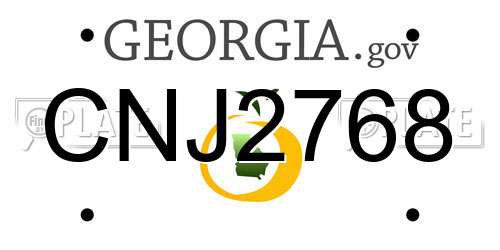 CNJ2768 Georgia License Plate