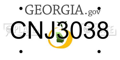 CNJ3038 Georgia License Plate