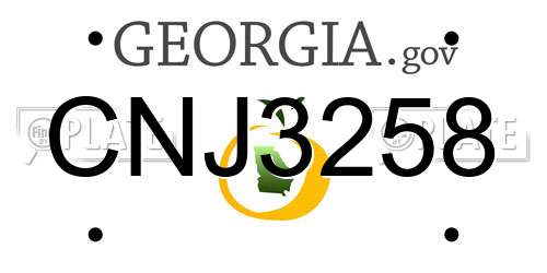 CNJ3258 Georgia License Plate