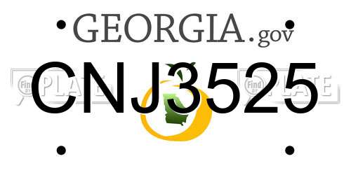 CNJ3525 Georgia License Plate