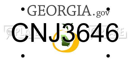 CNJ3646 Georgia License Plate