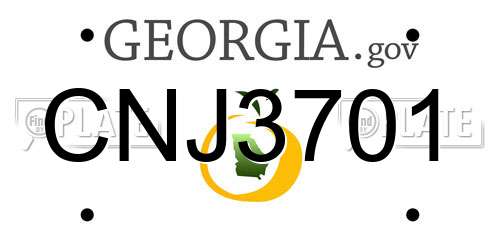CNJ3701 Georgia License Plate
