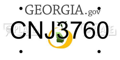 CNJ3760 Georgia License Plate