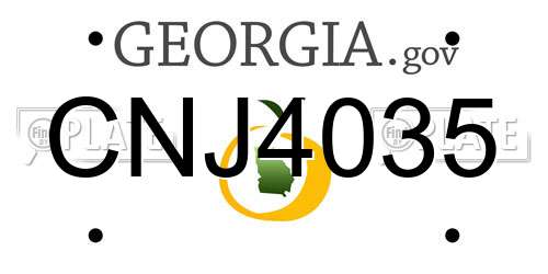 CNJ4035 Georgia License Plate