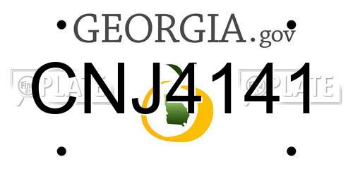 CNJ4141 Georgia License Plate