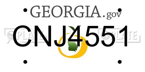 CNJ4551 Georgia License Plate