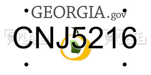 CNJ5216 Georgia License Plate