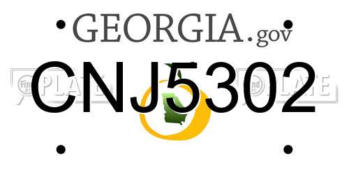 CNJ5302 Georgia License Plate