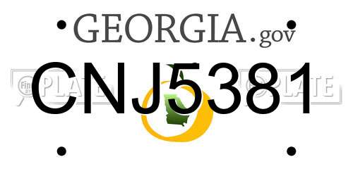 CNJ5381 Georgia License Plate