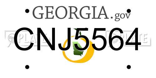 CNJ5564 Georgia License Plate
