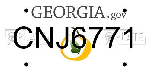 CNJ6771 Georgia License Plate