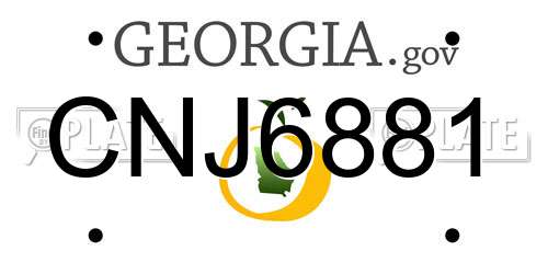 CNJ6881 Georgia License Plate