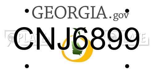CNJ6899 Georgia License Plate