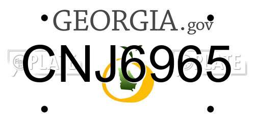 CNJ6965 Georgia License Plate