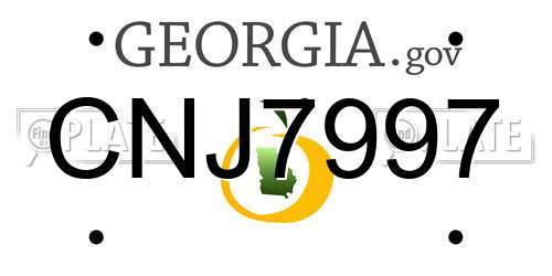 CNJ7997 Georgia License Plate