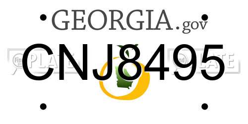 CNJ8495 Georgia License Plate