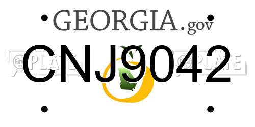 CNJ9042 Georgia License Plate