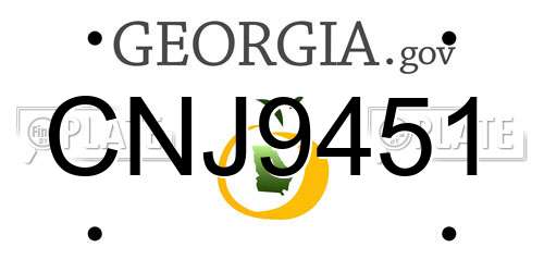 CNJ9451 Georgia License Plate