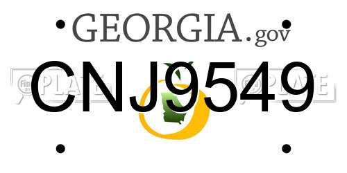 CNJ9549 Georgia License Plate