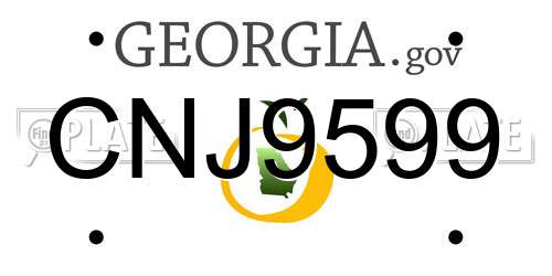CNJ9599 Georgia License Plate
