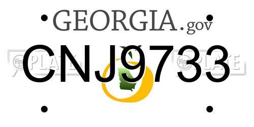 CNJ9733 Georgia License Plate