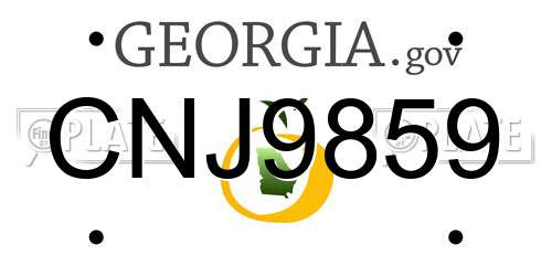 CNJ9859 Georgia License Plate