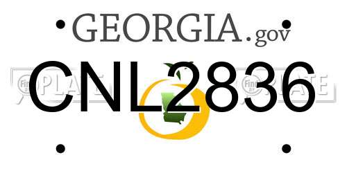 CNL2836 Georgia License Plate