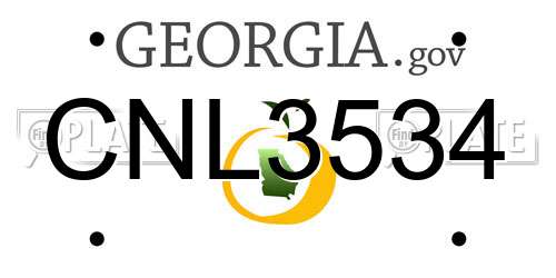 CNL3534 Georgia License Plate