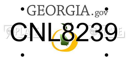 CNL8239 Georgia License Plate