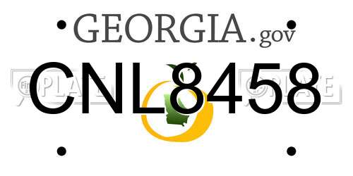 CNL8458 Georgia License Plate