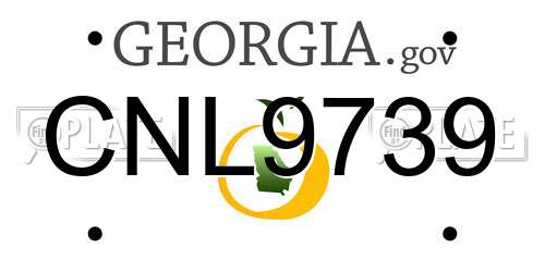 CNL9739 Georgia License Plate
