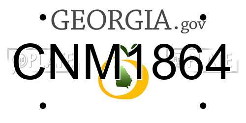 CNM1864 Georgia License Plate