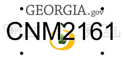 CNM2161 Georgia License Plate