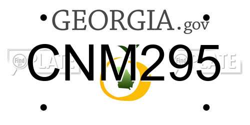 CNM295 Georgia License Plate